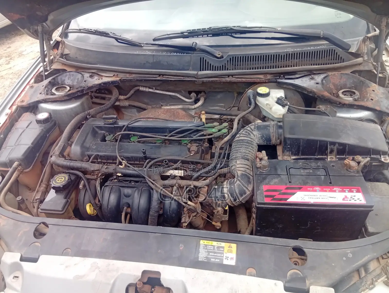 Ford Focus 2009 Green