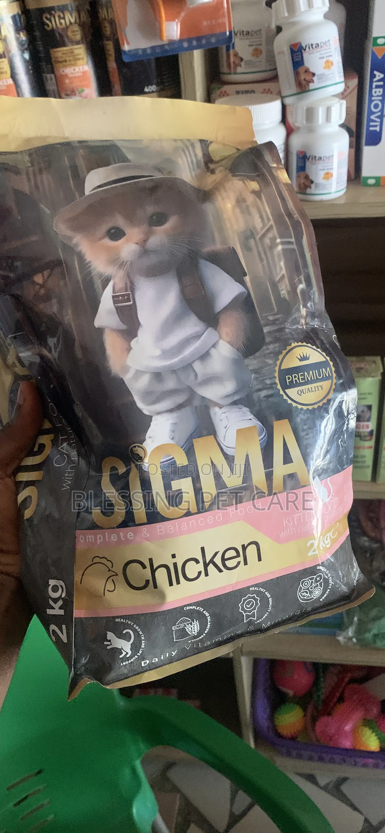 Kitten Food