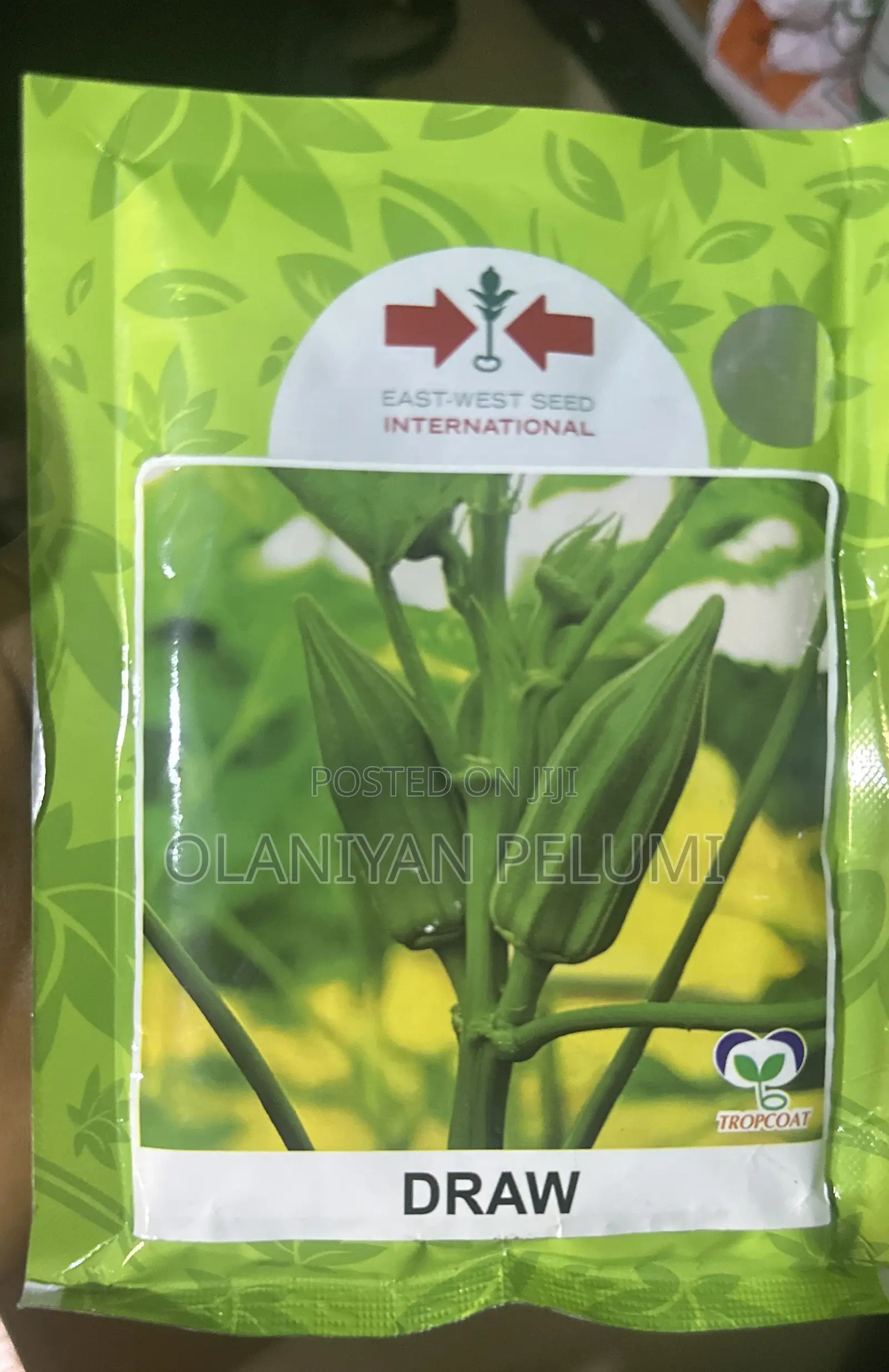 Draw Okra Hybrid