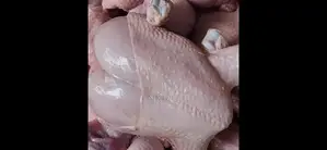 Whole Chicken Processed And Packaged And Live
