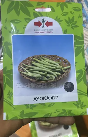 Ayoka 427 French Bean