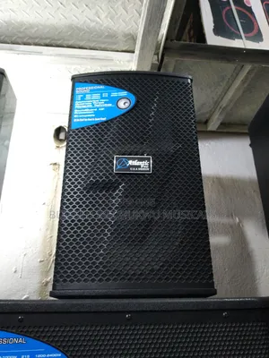 Atlantic Professional Monitor