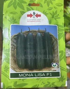 Mona Lisa F1 Cucumber