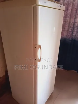 Standing Freezer