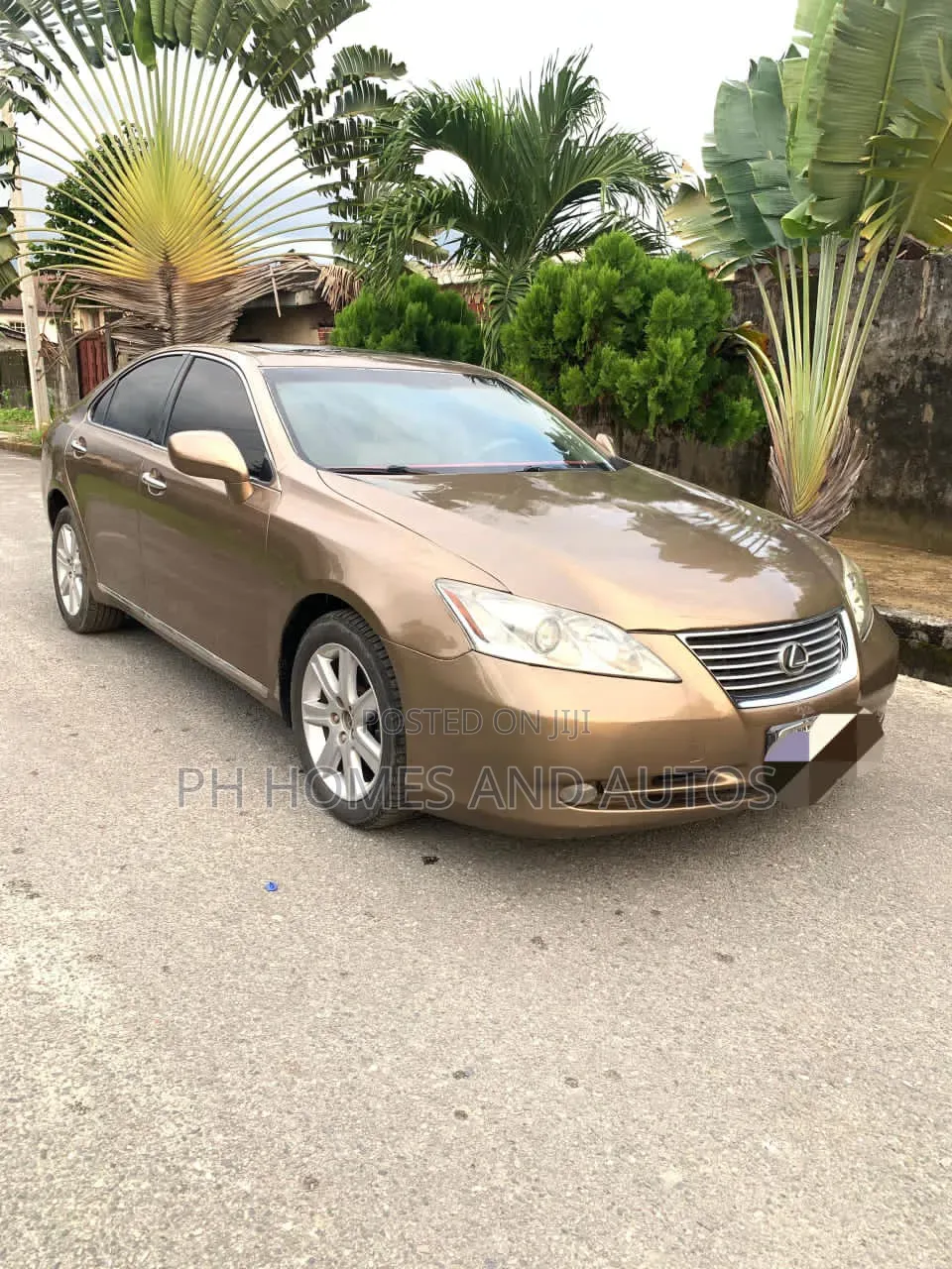 Lexus ES 350 2009 Brown