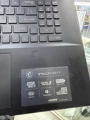 Msi Stealth Gs77 I9 Screen and Parts