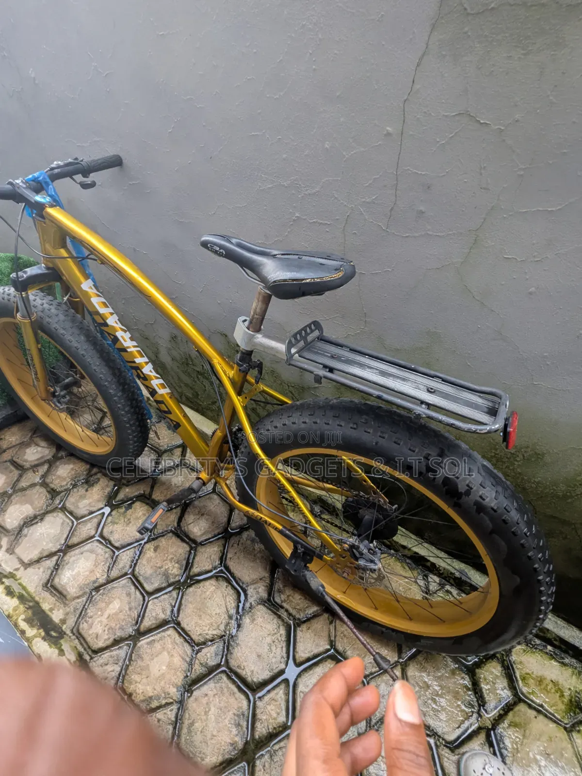 Dayang Apollo 2021 Gold