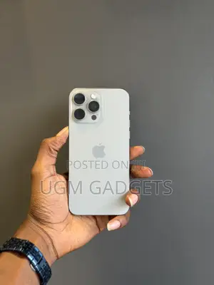 Apple iPhone 15 Pro Max 256 GB Gray