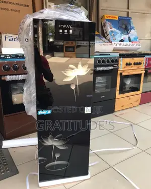 Cway Hot and Cold Water Dispenser