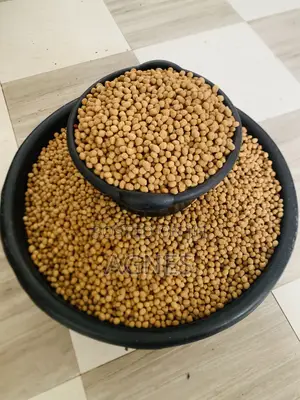 Ekkis Peanuts