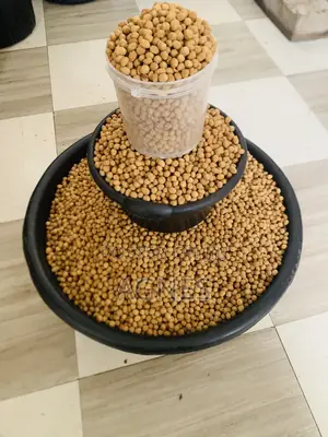 Ekkis Peanuts