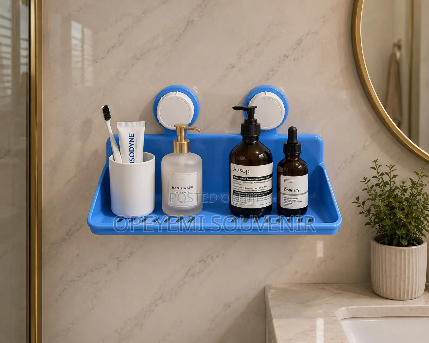 Wall-Mounted Bathroom Organizer