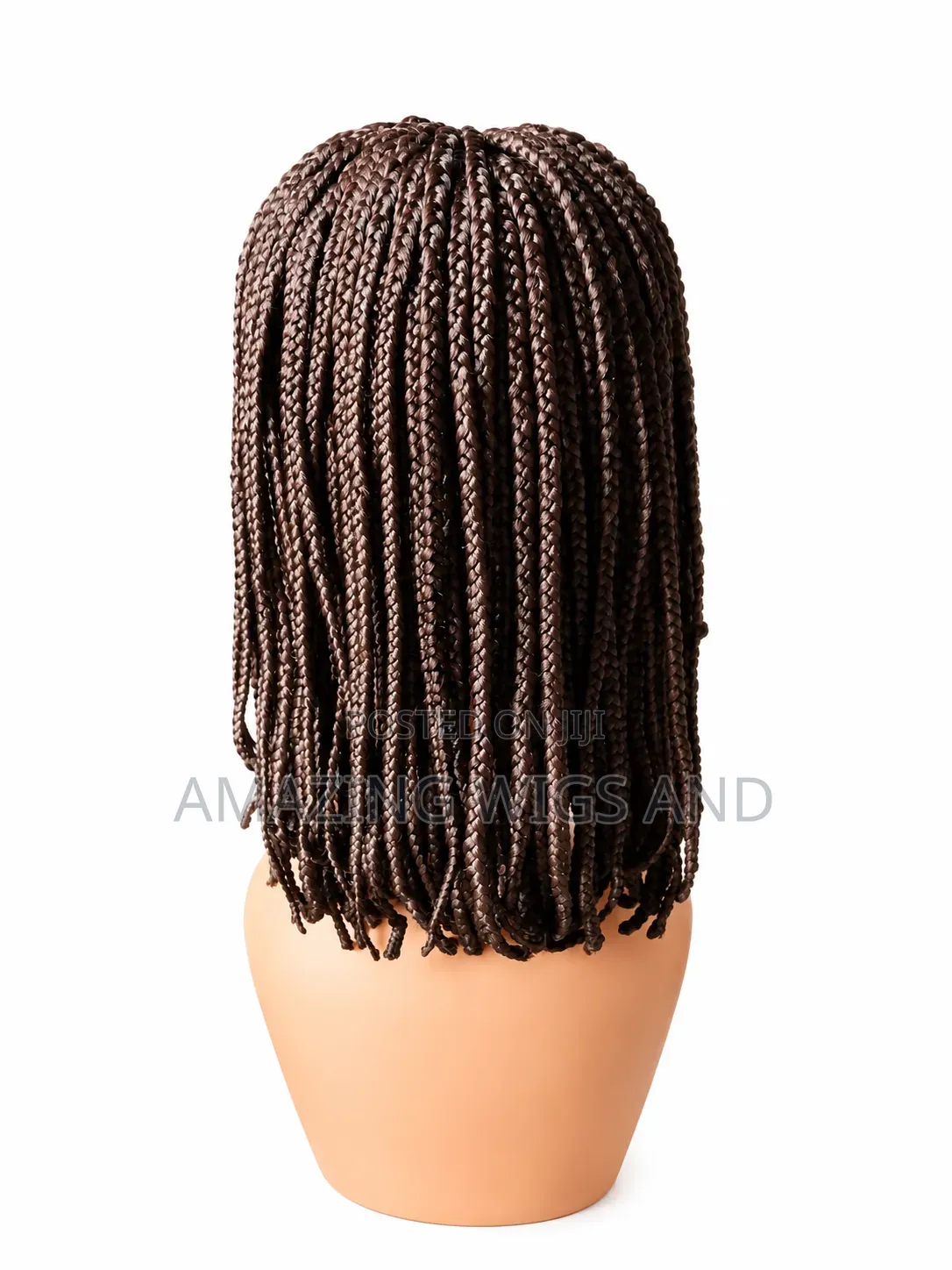 Braided Wig