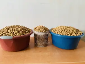 Ekkis Peanu