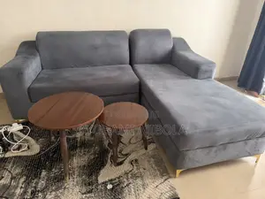 Neatly Used Couch With Center Table