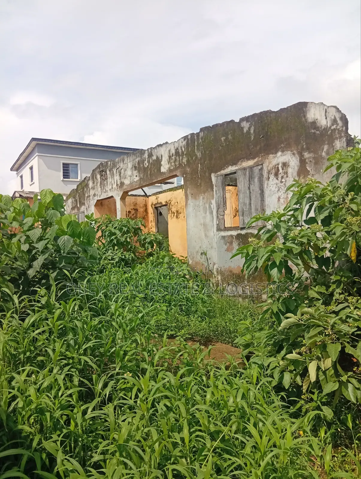 A Plot of Land