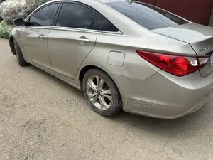 Hyundai Sonata Limited Sedan FWD (2.4L 4cyl 5A) 2010 Gold