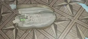 Very Nice Sneakers