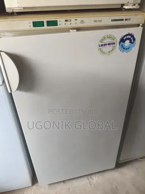 Super Quality German 5 Step Standing Freezer for Ice Blocks