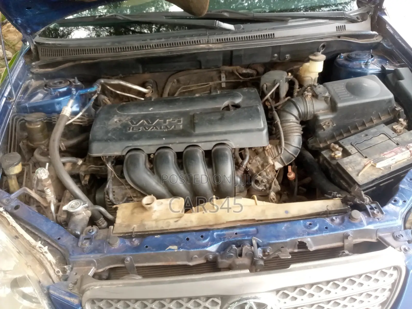 Toyota Corolla 2003 Blue