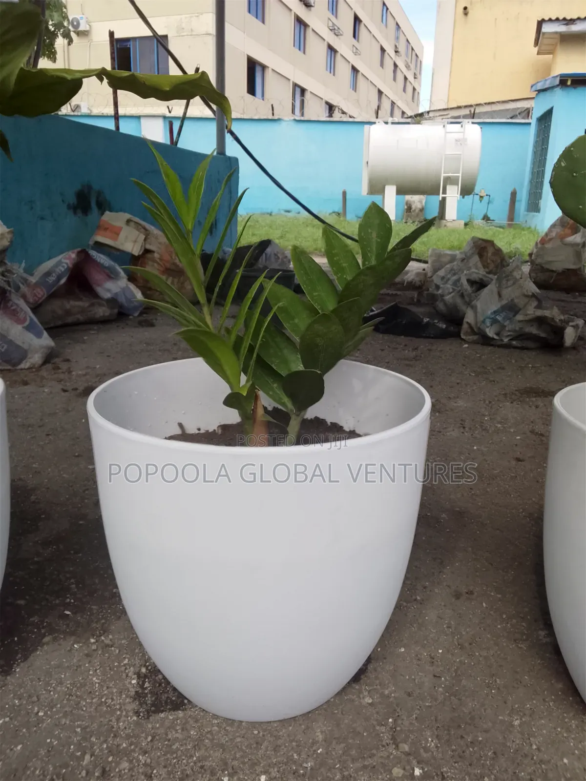 Flower Pots and Flowers