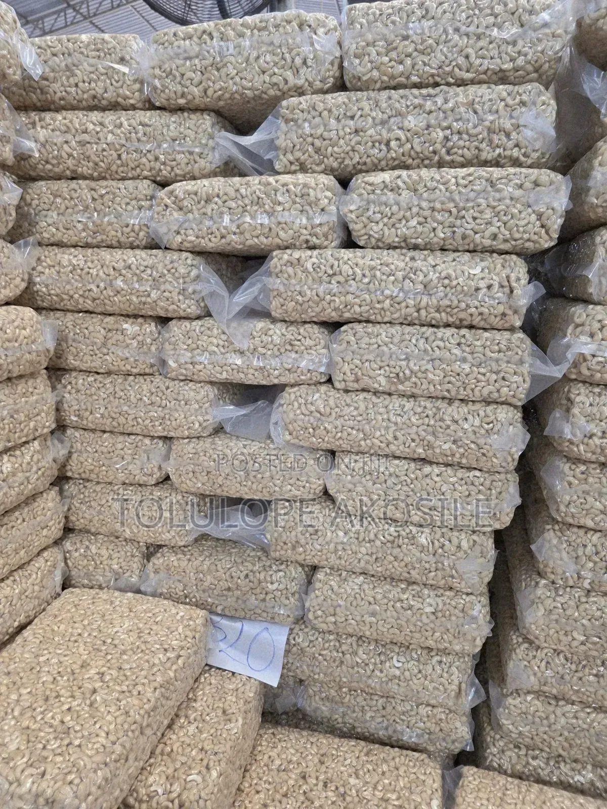 Premium Cashew Nuts