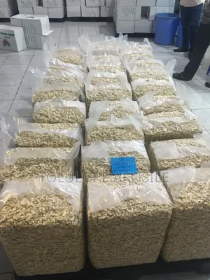 Premium Cashew Nuts