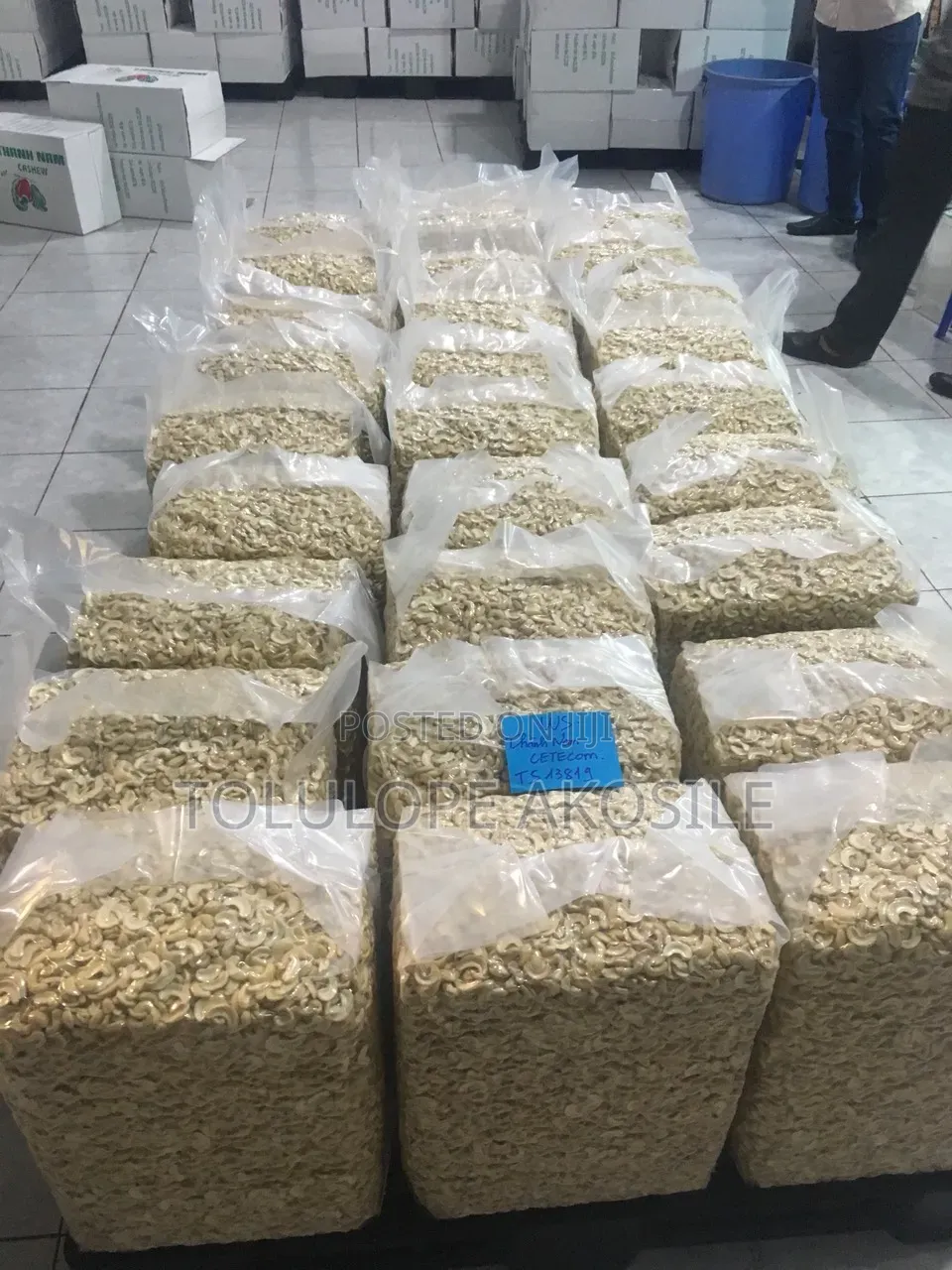 Premium Cashew Nuts