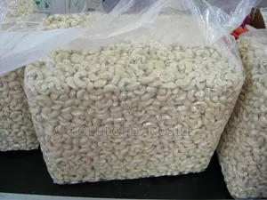 Premium Cashew Nuts