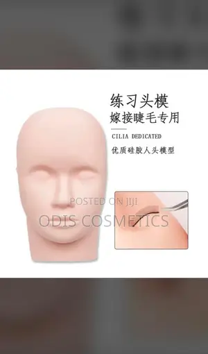 Dummy Head