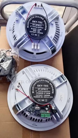 30w Bluetooth Celling Speaker