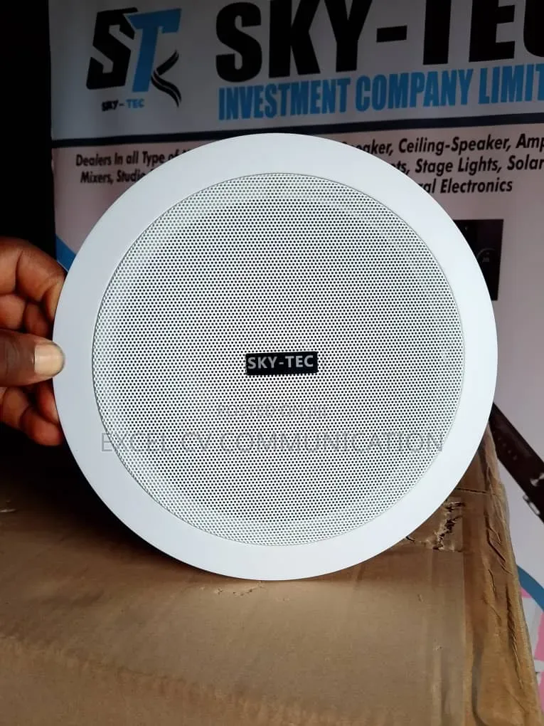 30w Bluetooth Celling Speaker