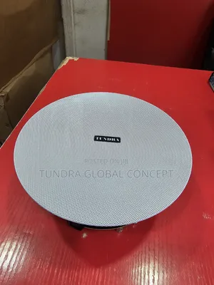 Tundra 40watts Frameless Speaker