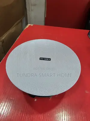 Tundra 40watts Frameless Speaker