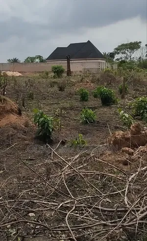 100ft by 200ft Land Off Sapele Road