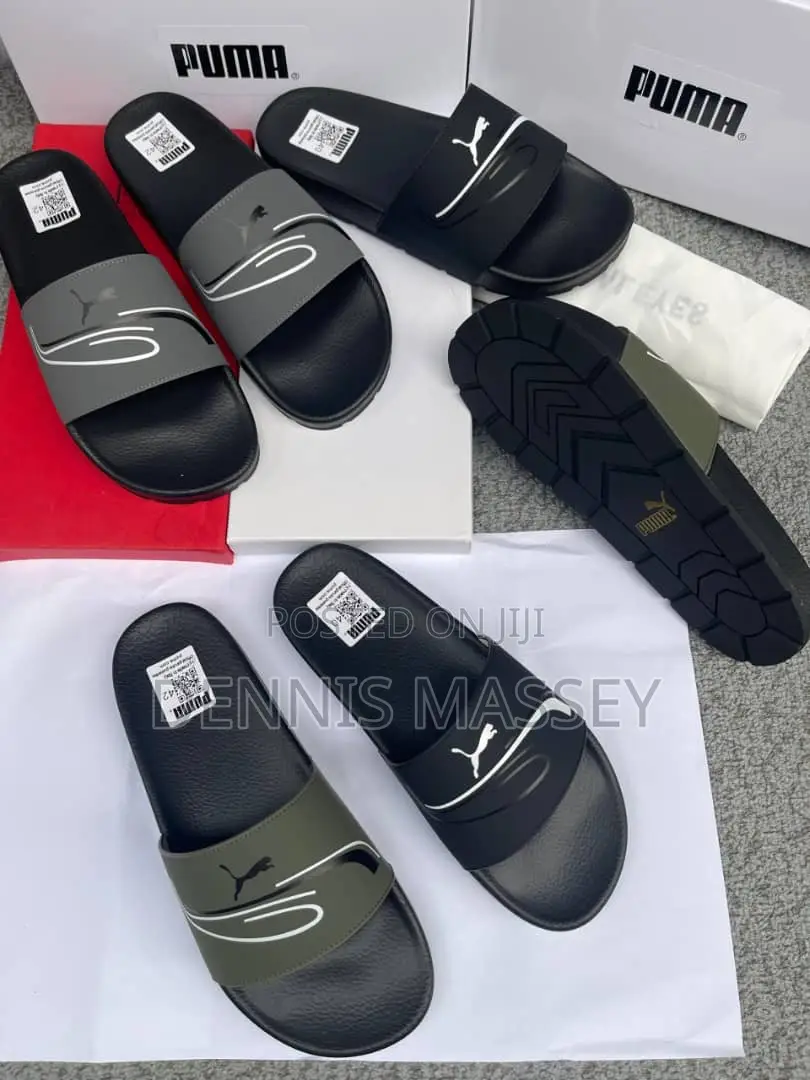 Carton Palm/Slides