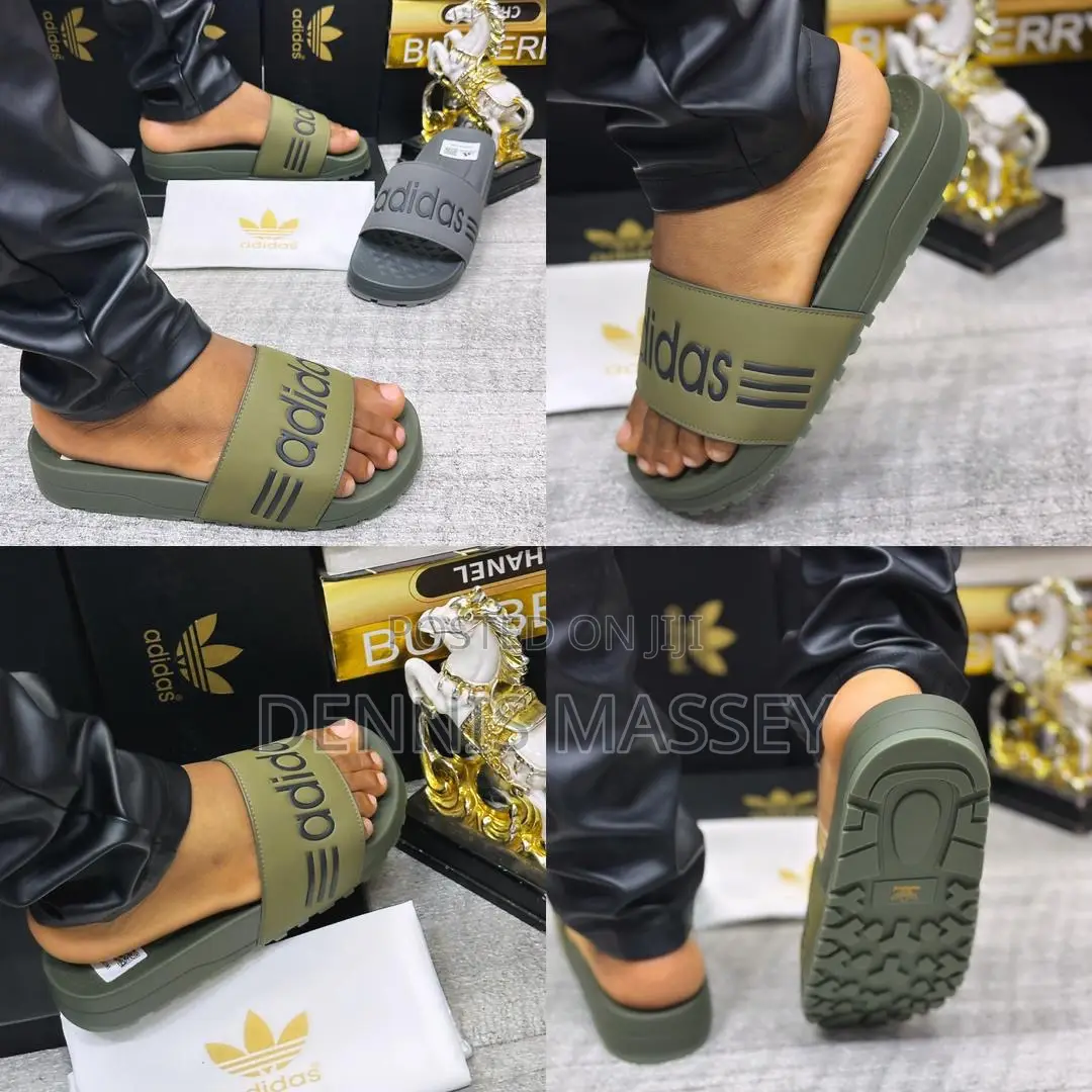Carton Palm/Slides