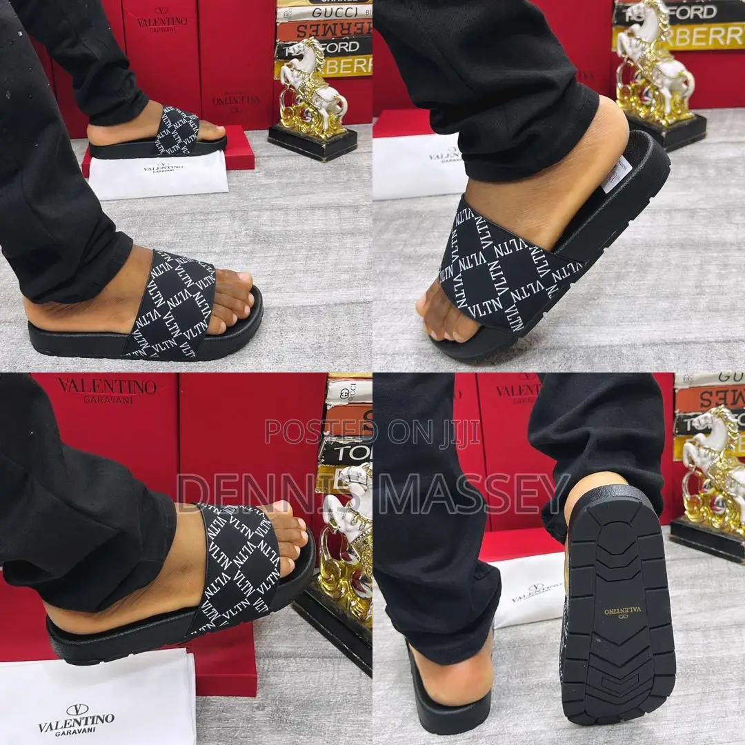 Carton Palm/Slides