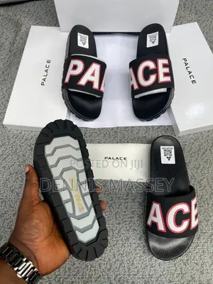 Carton Palm/Slides