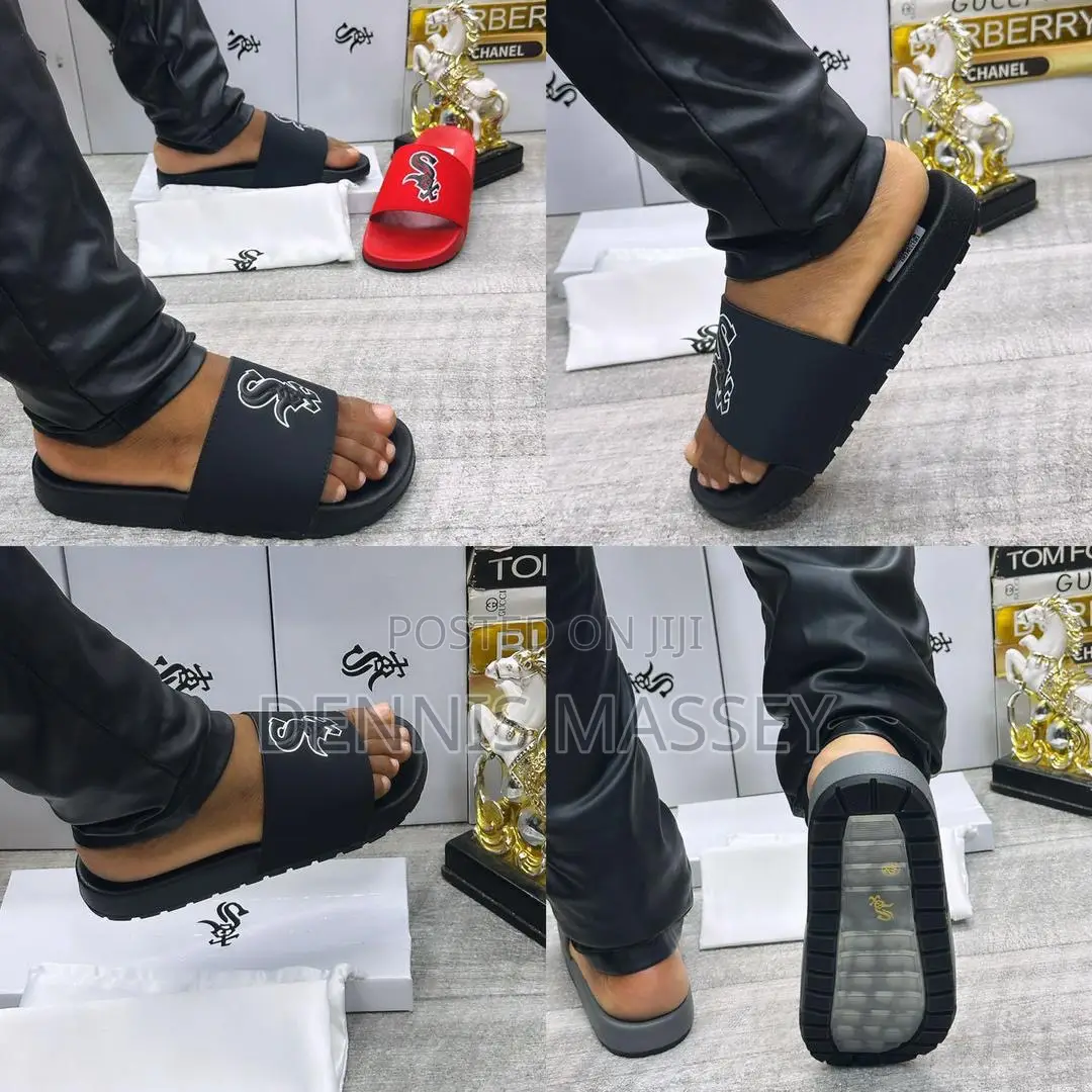 Carton Palm/Slides