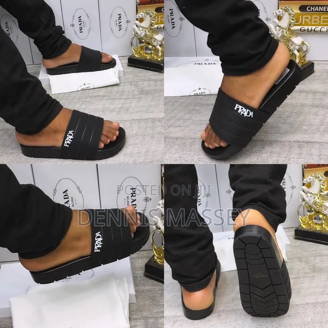 Carton Palm/Slides