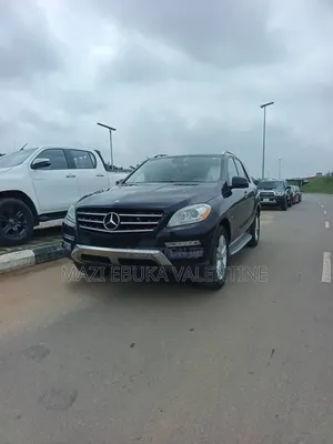 Mercedes-Benz M Class 2010 Black