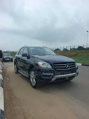 Mercedes-Benz M Class 2010 Black