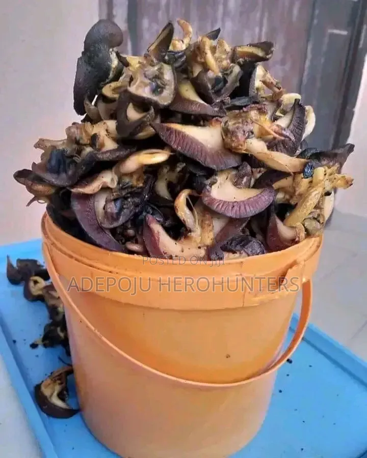 Snails (White Meat)