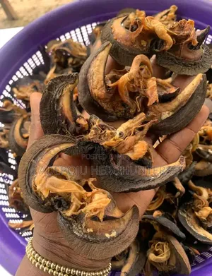 Snails (White Meat)