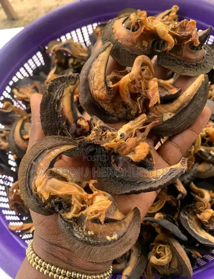 Snails (White Meat)