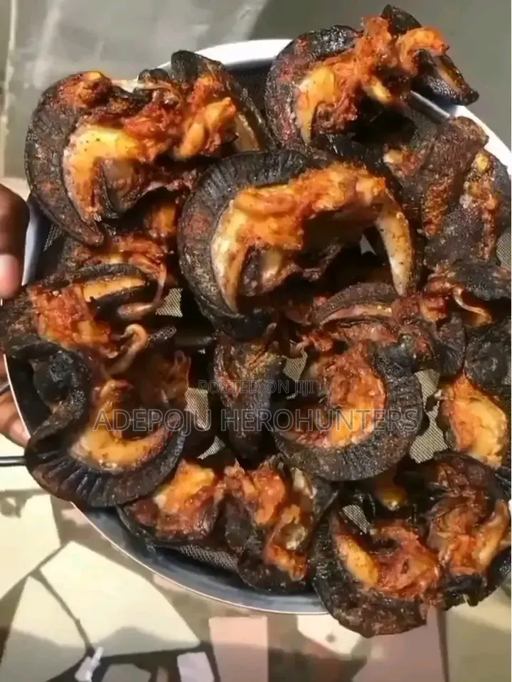 Snails (White Meat)