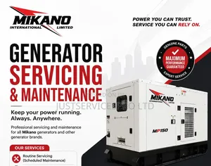 Generator Servicing Maintenance