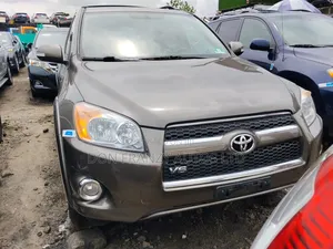 Toyota RAV4 2010 Brown