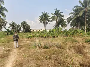 13 Acre of Land Facing the Express for Sale